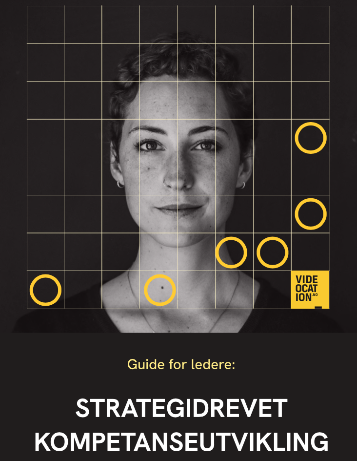 Strategidrevet kompetanseutvikling